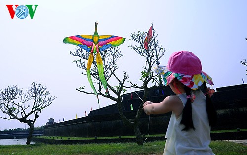 Kites soar over Hue skies - ảnh 16